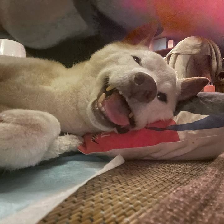 D596a347 9bf9 4540 85bf ffe02aed7613 1660661809400