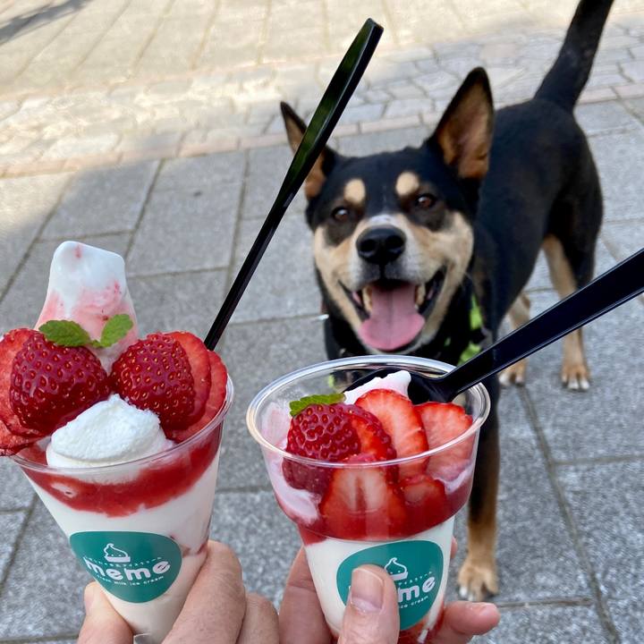 D596a818 8474 43de b0cd 6e0736d9f495 1620560412478