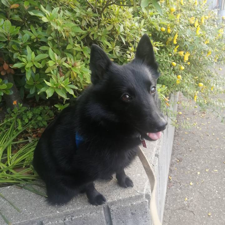 D596c8e4 2d81 4532 bc4b 0517e001c4c7 1621803327299