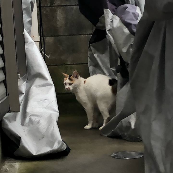 D596c948 7129 4c76 9f22 afb5a9985e48 1594648647828