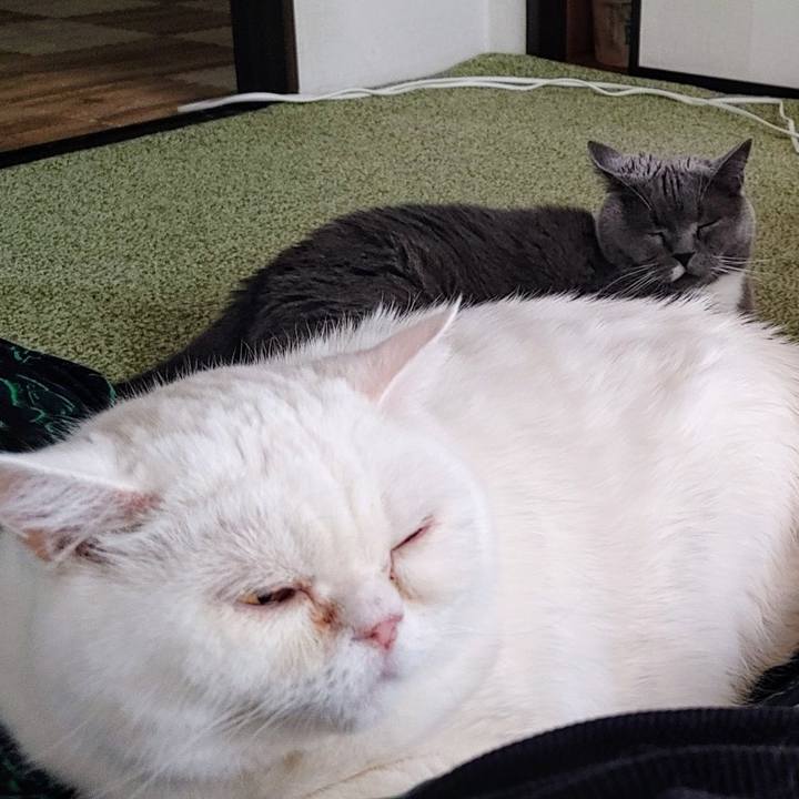 D596d232 2d3f 46fc b527 b4430ebfe25f 1749508713657