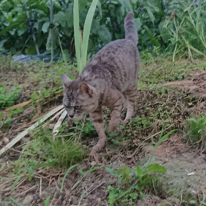 D596f6c9 9bd4 40c3 9e2d b1e04d69ec28 1564481200734