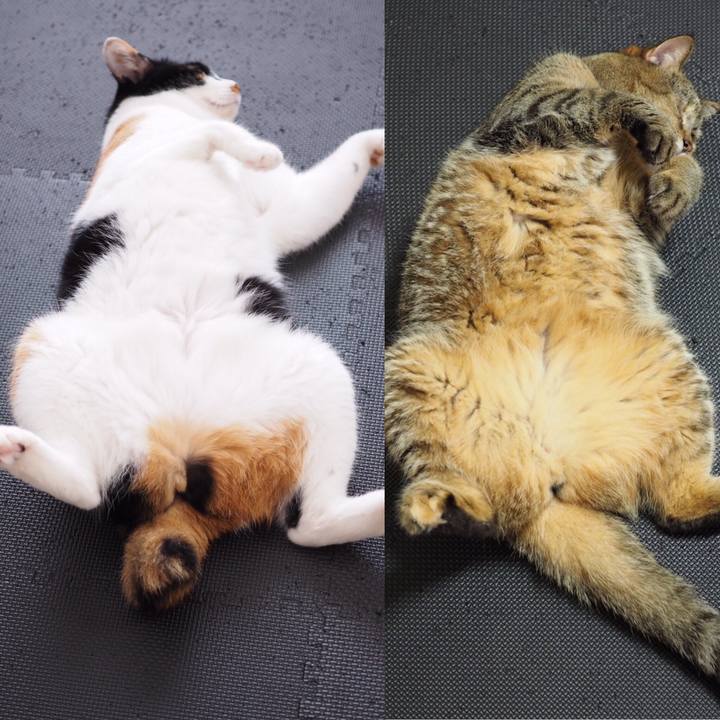 D596ff36 c9e3 4fb1 9a51 633b2bc45244 1536104476961