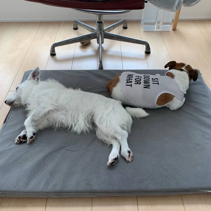 D5971c80 6cc4 4620 92be 1be6e75dbc4b 1592272605793