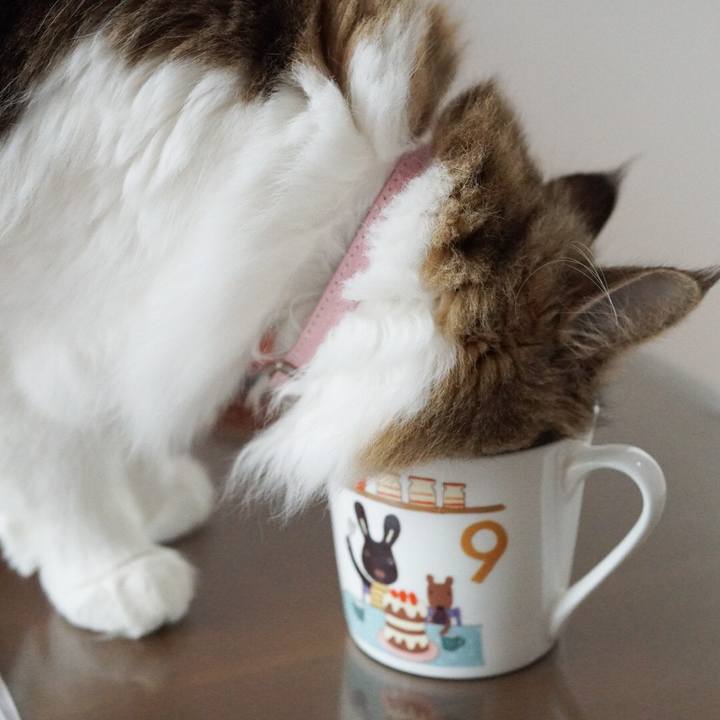 D59724c5 43d3 4f95 aae3 63cf45e9ef66 1579055793912