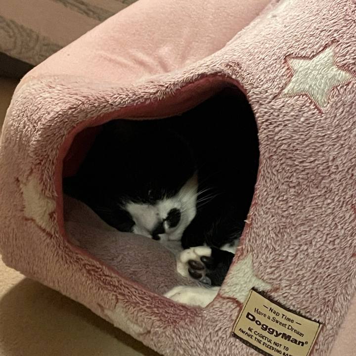 D597289c 89a8 42f1 9dc9 a8c6bd0abf63 1733908466587