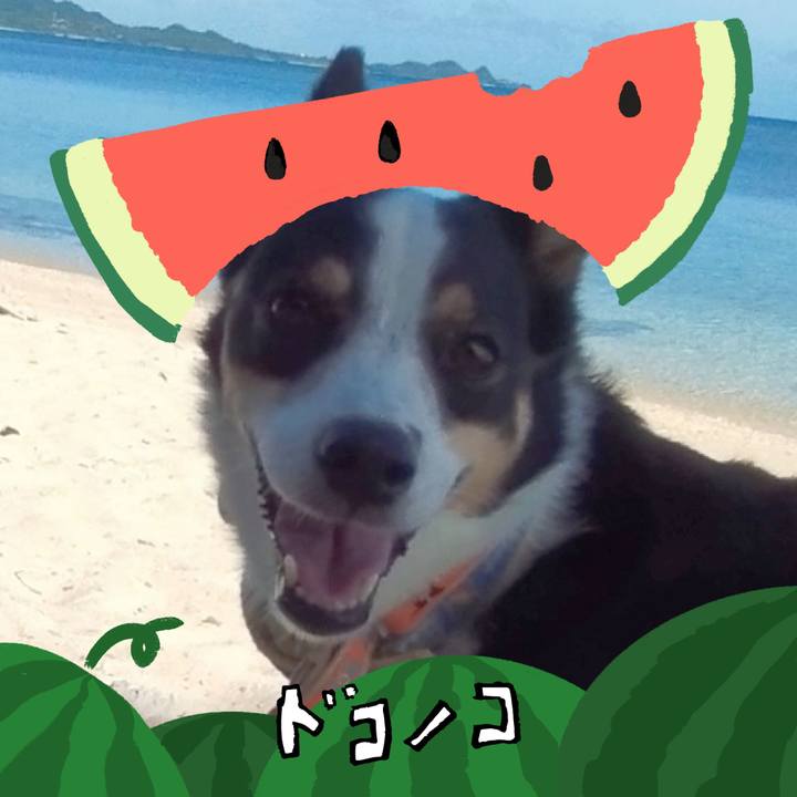 D597322e 8844 42ed 82dd eba8174043f8 1720964620694