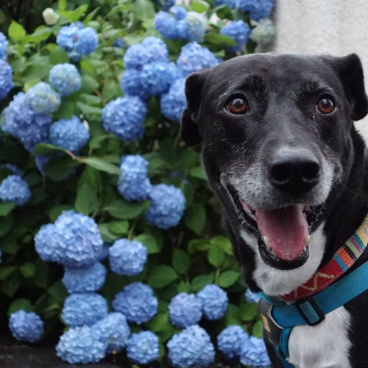 D5973ba7 aff6 4d6b b2b3 a33cfc48a3e0 1717324963648