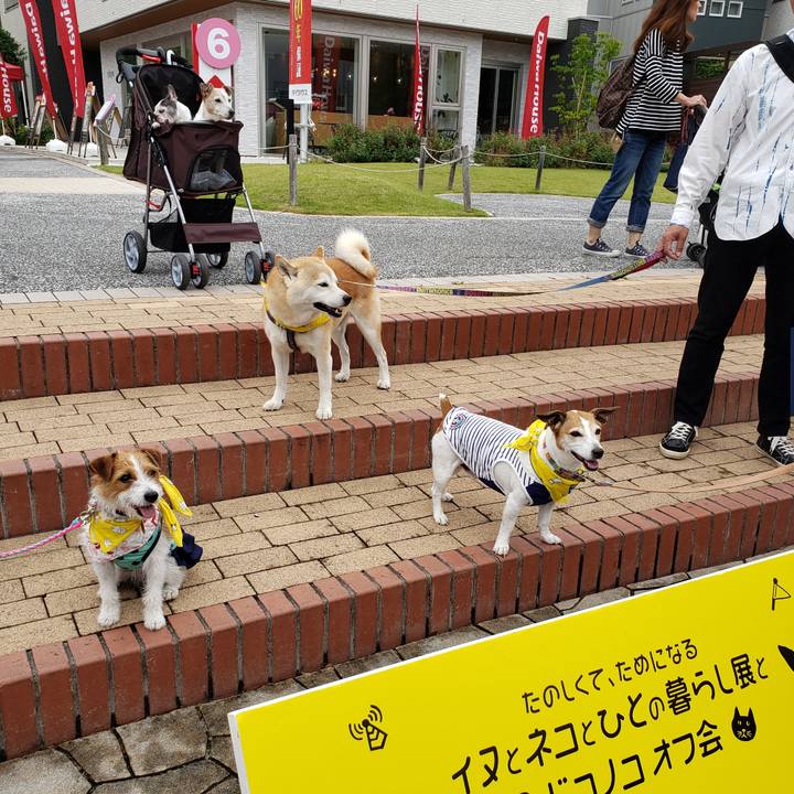 D597745e c38a 4c17 b9d3 4c7e5e2e45ec 1559995083225