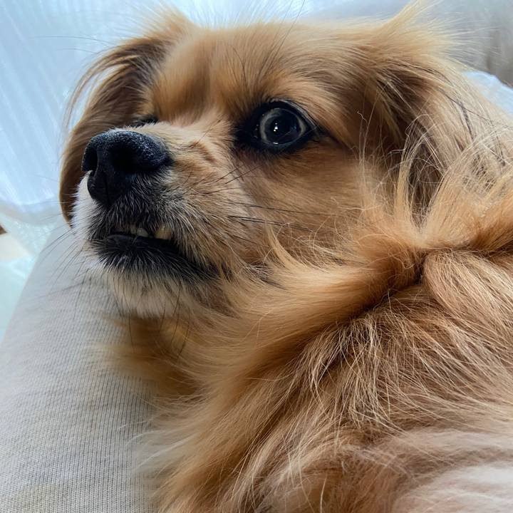 D5978ba4 fc9c 49bf be61 5bd825b617d1 1620856844584