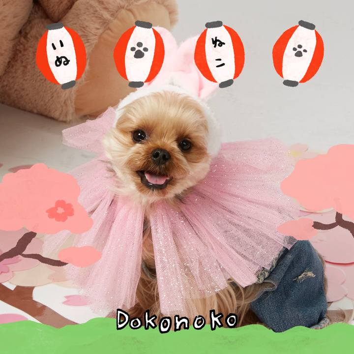 D5978c54 1e03 43ab 9a1b 6de28e5f44e6 1712229768856