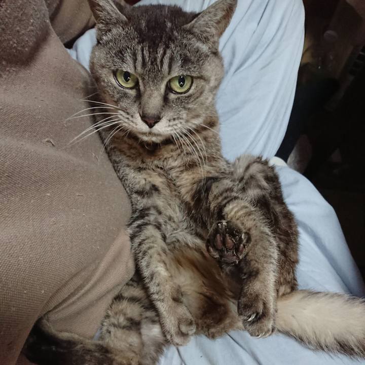 D5979076 fc2e 4e82 83c9 18371ddaa980 1604348795883