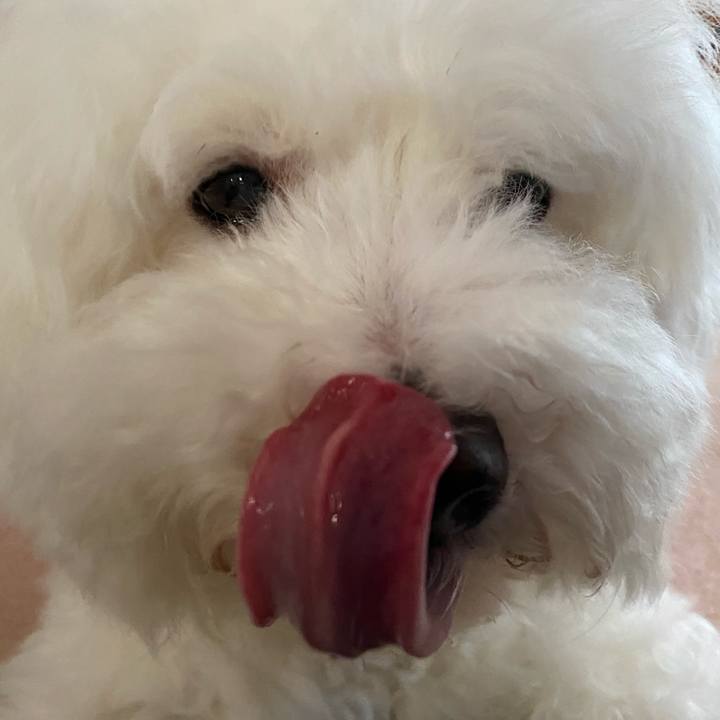 D5979e15 bb4c 4829 8b20 e7a551f901c2 1631346697680