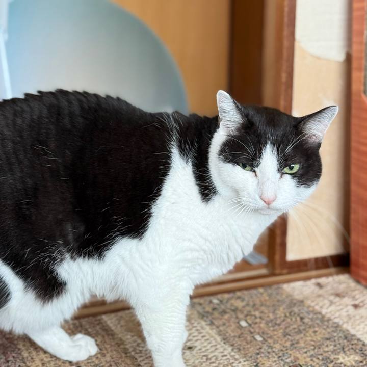 D597b229 dbe6 4d7b 86f3 6d784daf3b47 1735868447922