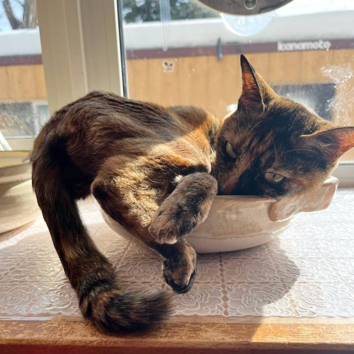 D597e375 fa36 45f1 a704 f6a1b52d54d8 1739845476028