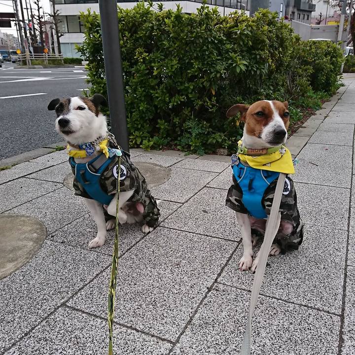 D597f611 0018 4ec3 a24d f24f85456c4b 1553896685344