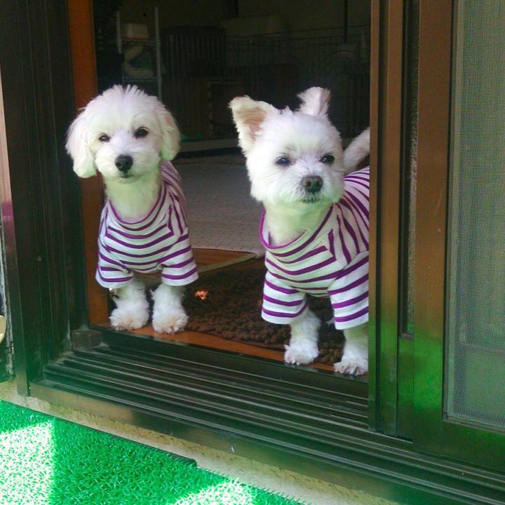 D59816b7 c82e 4c9d b8ea 3e7566d9021e 1524129593179