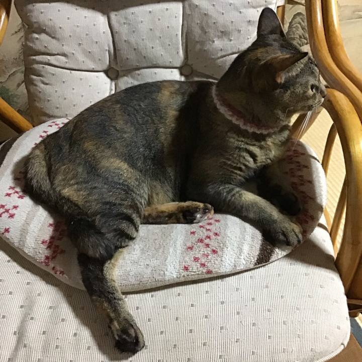 D5982e19 c3cf 4cc1 b14d 51aba43d768f 1660822330335