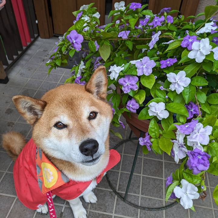 D5986517 536c 44e8 b88a d372d9858dbd 1715046172045