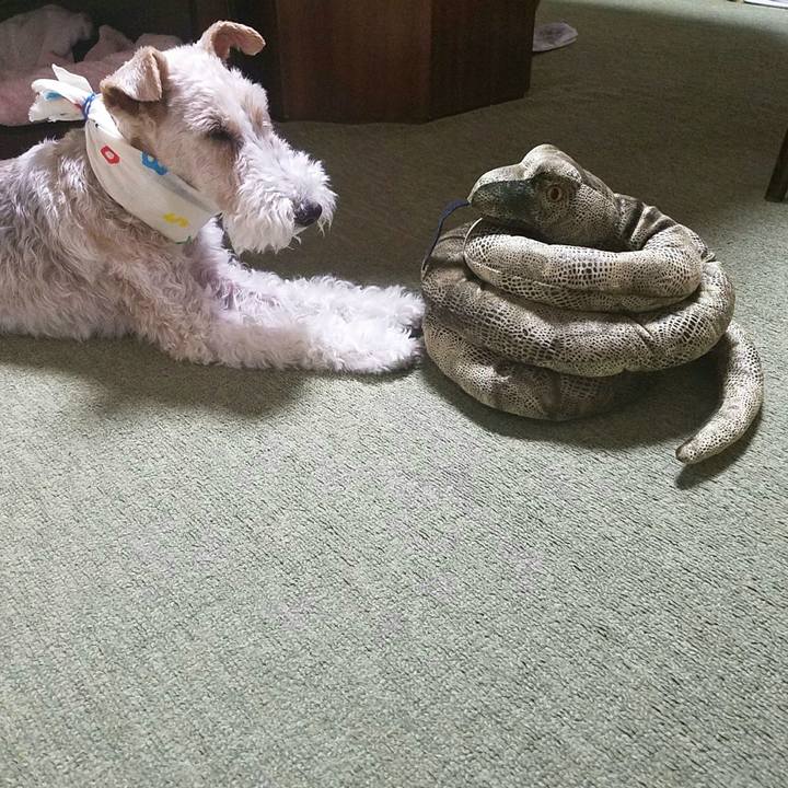 D5989462 a06e 4fa4 8f66 a9f46e4a705b 1530144054891