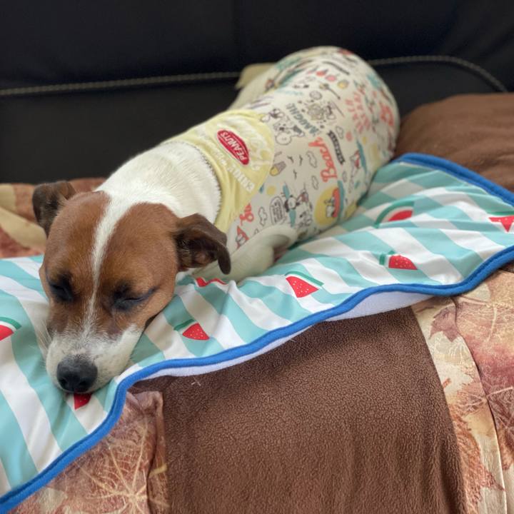 D598a221 0a0a 4f1f b71f e00d5e986509 1628229630352