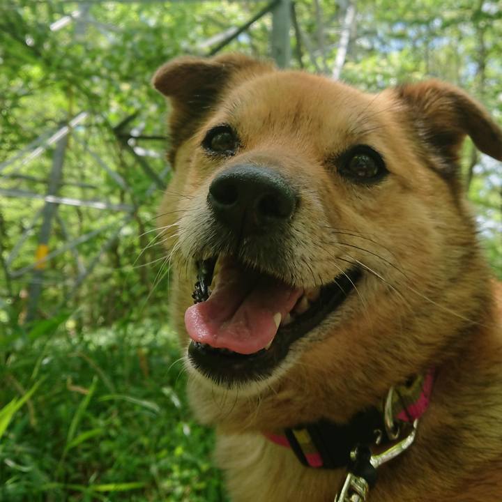 D599161d 785c 4da5 9b91 1e8742d7d067 1620740242339