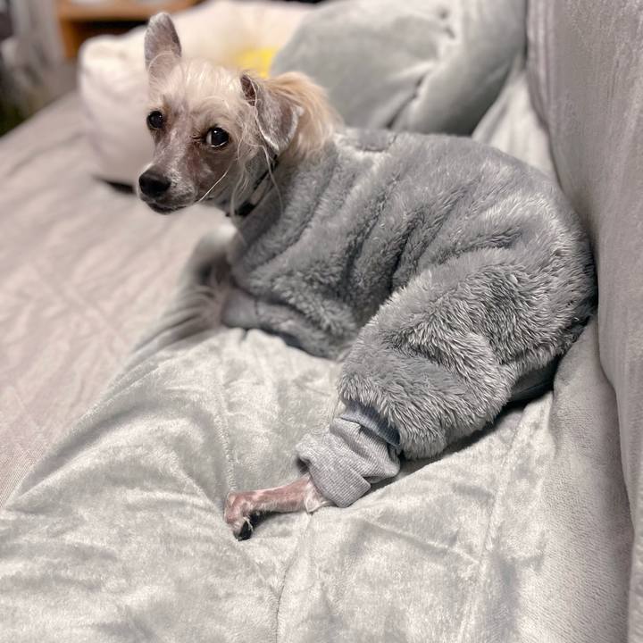 D5994e99 d9f5 4509 9292 47c58e8f95f5 1766277224083