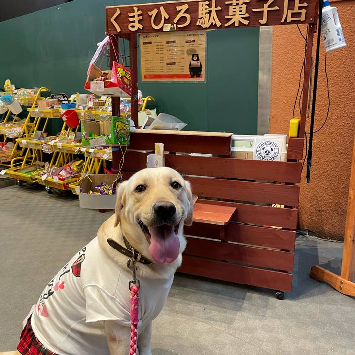 D5996fab 2fb3 46a2 8a28 56fcb0ce600f 1664442716680