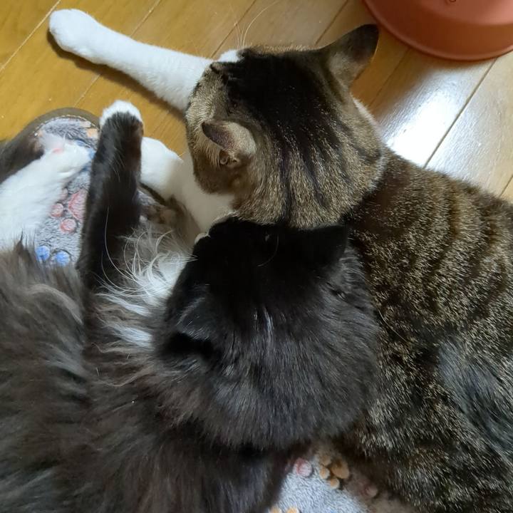 D599705b 8b6c 4889 ab35 5fe813ed9964 1677399901411