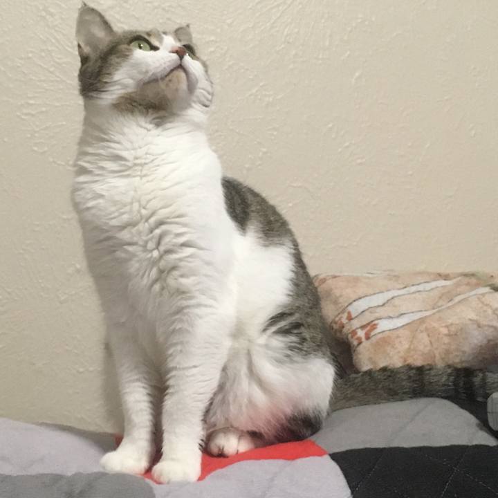 D599c25b 1a54 4889 bc5d ff1a3ecca007 1636425228887