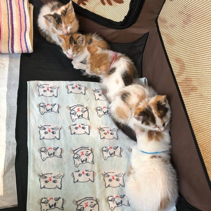 D599d1fe 7c06 45ef a971 4e96f2e66664 1591699961146