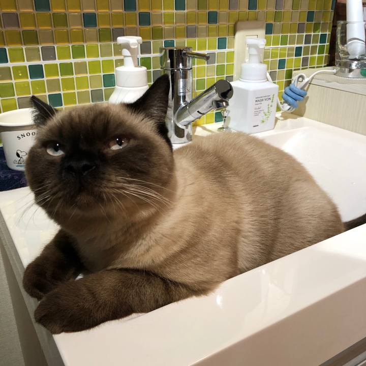 D599e77d 5d76 4900 8931 ca9fdd917f76 1602029337815