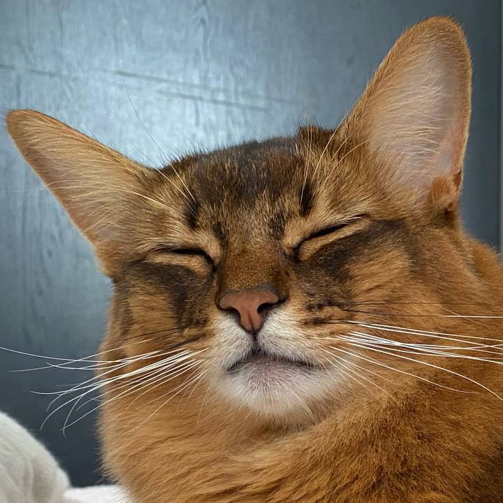 D599e84c 4baf 4568 8004 331f1f1a3798 1634704346587