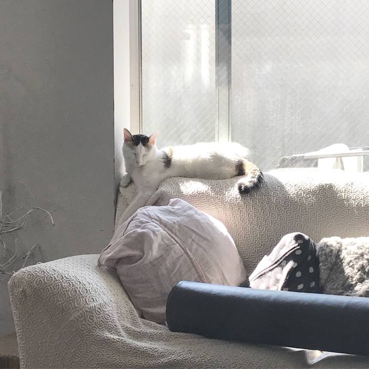 D59aa23d a2d3 4be6 8eef 67eca0d4d2aa 1509076545290