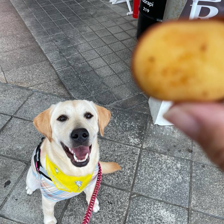 D59ab716 b5aa 4605 83c9 087b6ae1652d 1625719092112