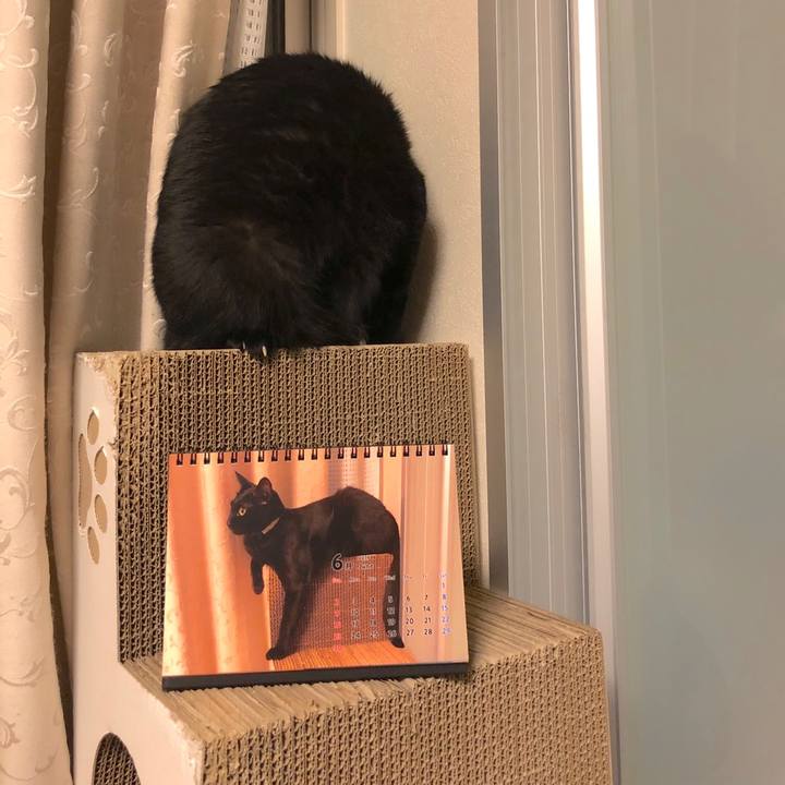 D59acaf2 f672 4762 8aeb 54412f3e531d 1559655433604