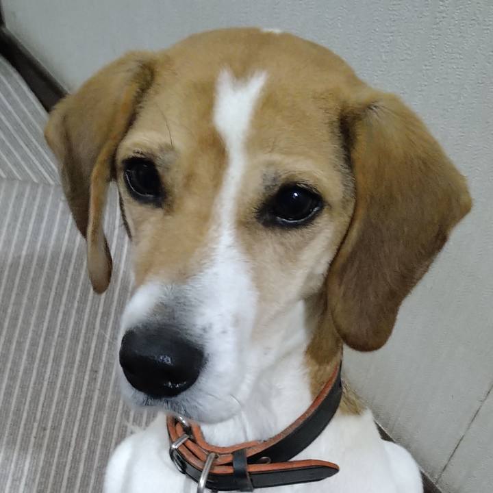 D59ad8a6 8219 419e a021 fc052cb694a3 1642086111180