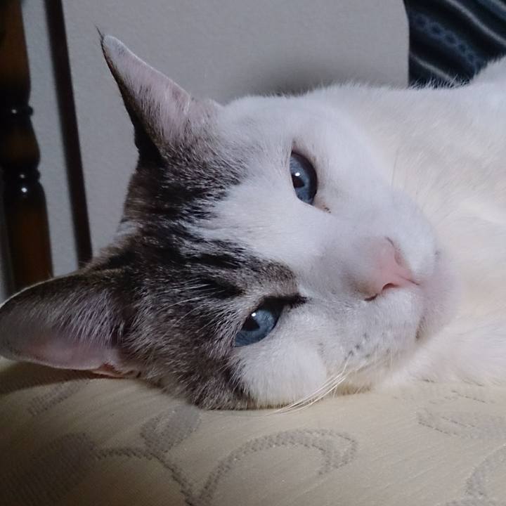 D59aea2e a4cb 4eaa ae15 4800f7a144e0 1545530807512