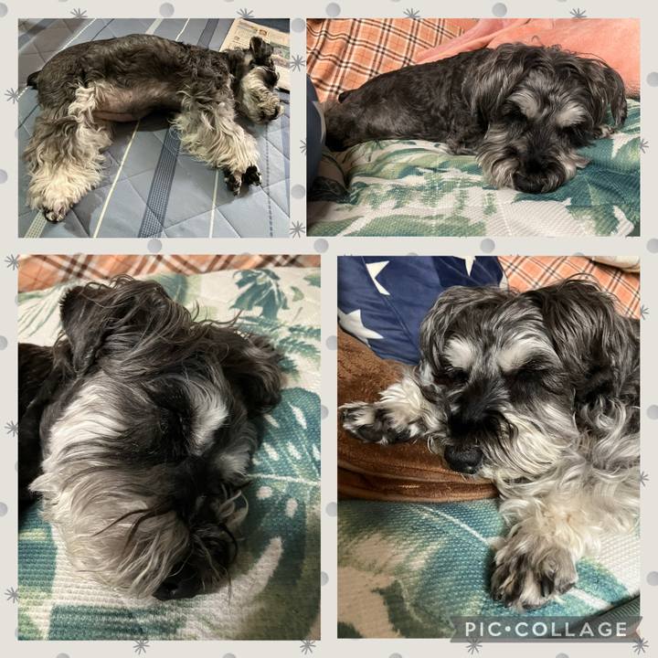 D59b2077 4e28 4d7d a6bc ab2b68bf9706 1749959882149