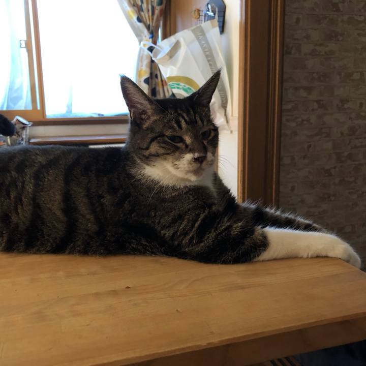 D59b2e4e d5d8 4844 9e4f c0007c70ba4e 1565388549981