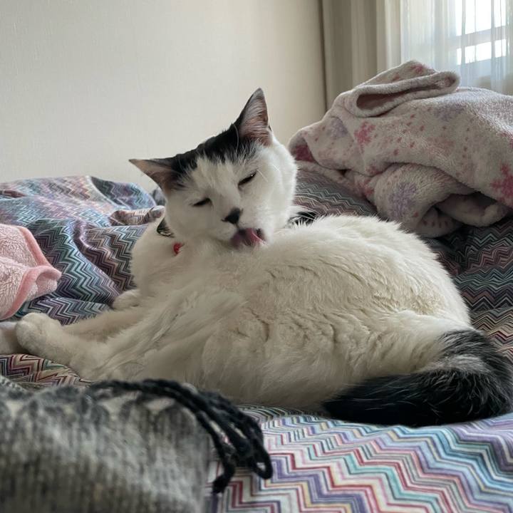 D59b32e7 e810 4d6c ad07 a3594ce6b5f3 1641944109133