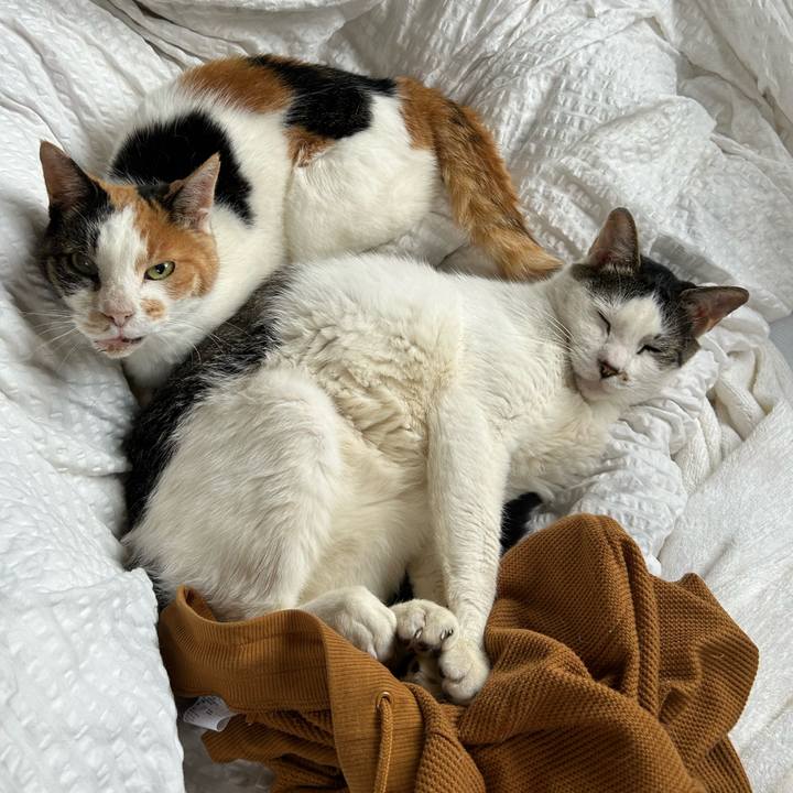 D59b9b35 a255 49f1 b1d9 21c800b4d67f 1719923420923