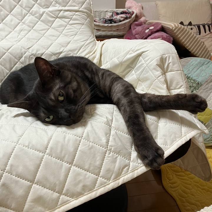 D59bc4e7 8521 49df a42e a6bdc58e3ab1 1722661380948