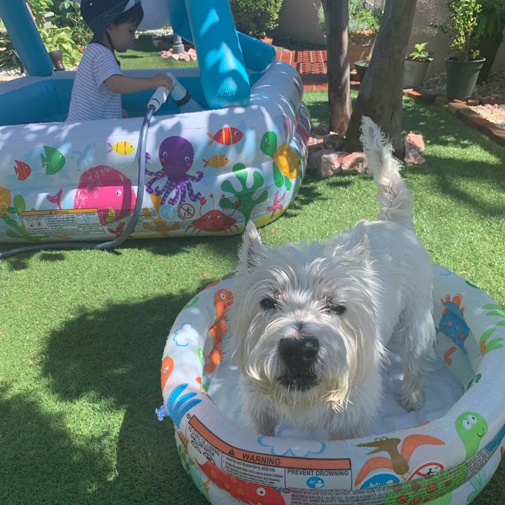 D59bd718 b6af 4e53 80e5 0383ad5f6608 1603864341308