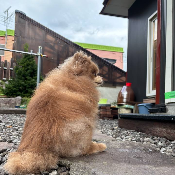 D59bf21b 6187 4982 8a7a 2958e1ef75e9 1755416247886