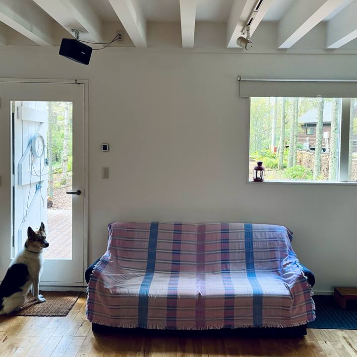 D59c294f b684 4663 9aa1 72ebb8101b2e 1760496730569