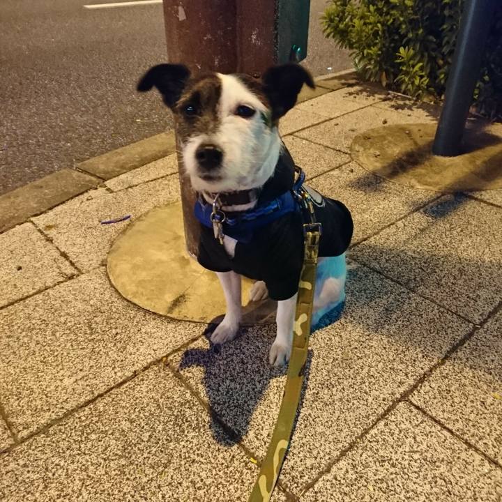 D59c8d60 a7e3 42c9 be34 5c83278dbbc4 1513599699488