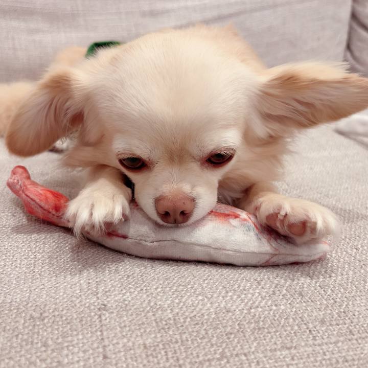 D59cc0aa 646d 451a 9a3f 1d5fdc9b5df1 1719577319410