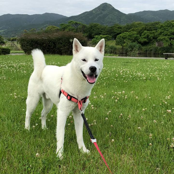 D59ccbe8 e392 4f77 8209 320ed8dd1d8b 1527205923744