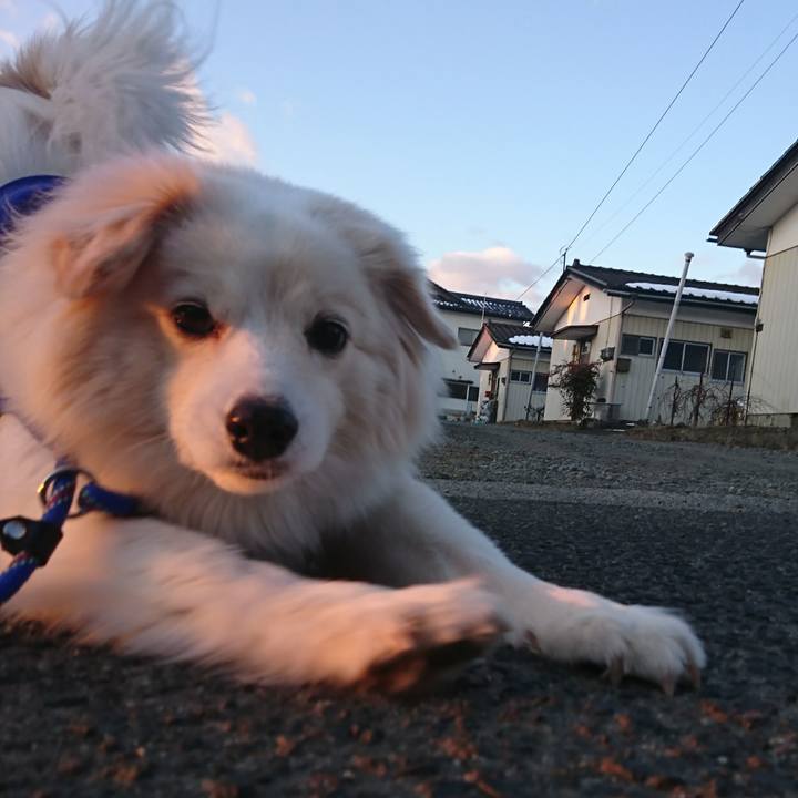 D59d0b19 cfd3 4822 8f7c 6fbeb3c19989 1519272262276